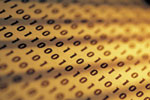 Muskegon Information Technology