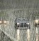 Rain Likely