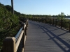 bicycle-path-2.jpg