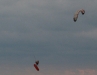 kitesurfing-at-muskegon-b-l